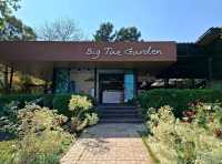ชมสวนเบญจมาศ @ Big Tae Garden 