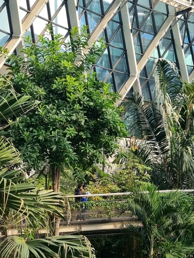 신기한 초록 세상! 겨울 서울식물원 탐험 🌿🔍