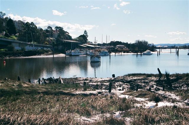 Nature in Launceston — The Cataract Gorge