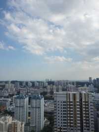 From Skyline to Greenery: The Serene Beauty of Skyville @ Dawson