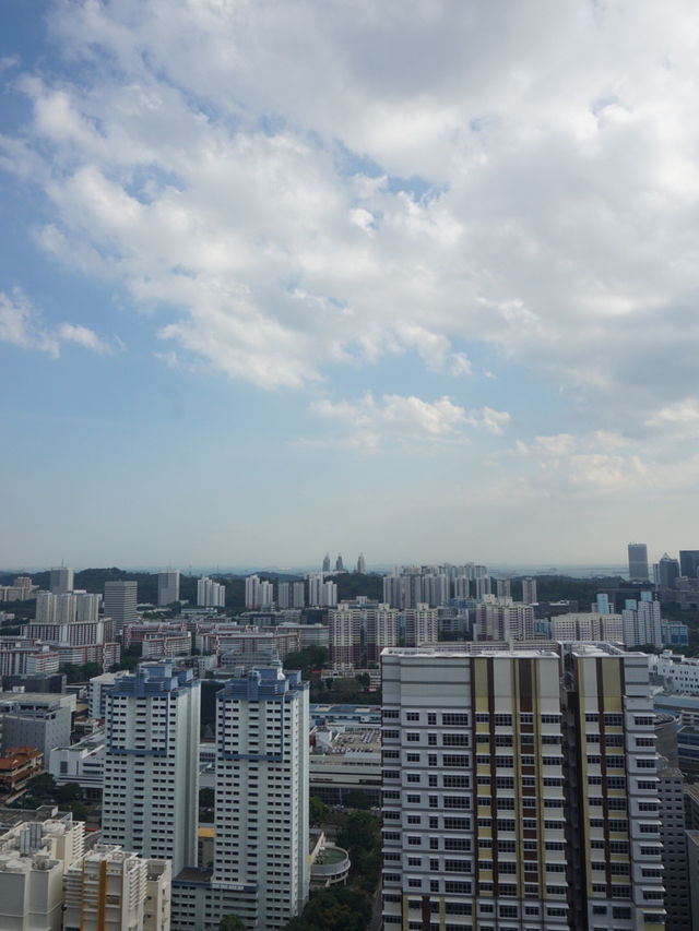 From Skyline to Greenery: The Serene Beauty of Skyville @ Dawson