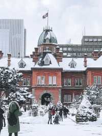 2 Days in Sapporo: A Winter Wonderland Adventure