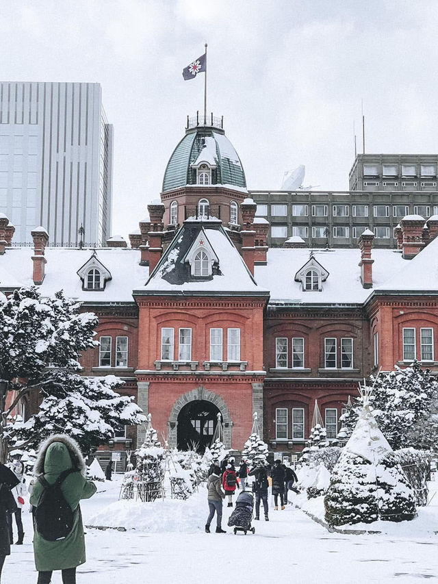 2 Days in Sapporo: A Winter Wonderland Adventure