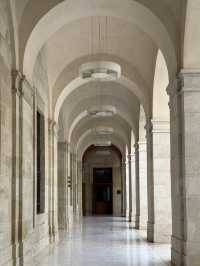 Fall into the embrace of arts around palm trees in Malaga