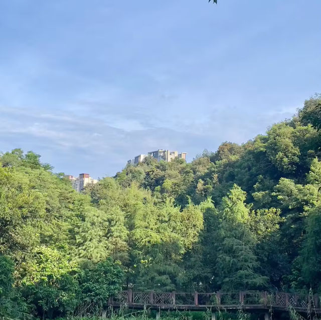 筆架山公園：綠野詩意天堂🌿✍️