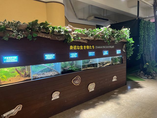 可愛的動物園，必坐小火車
