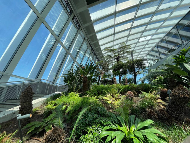 英國倫敦空中花園之旅