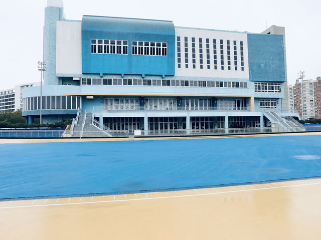 台中港區運動公園 | 超吸睛彩色運動場，IG打卡新熱點！