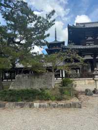 奈良探險記（上）：從世界最古老的木造建築到可愛的鹿群