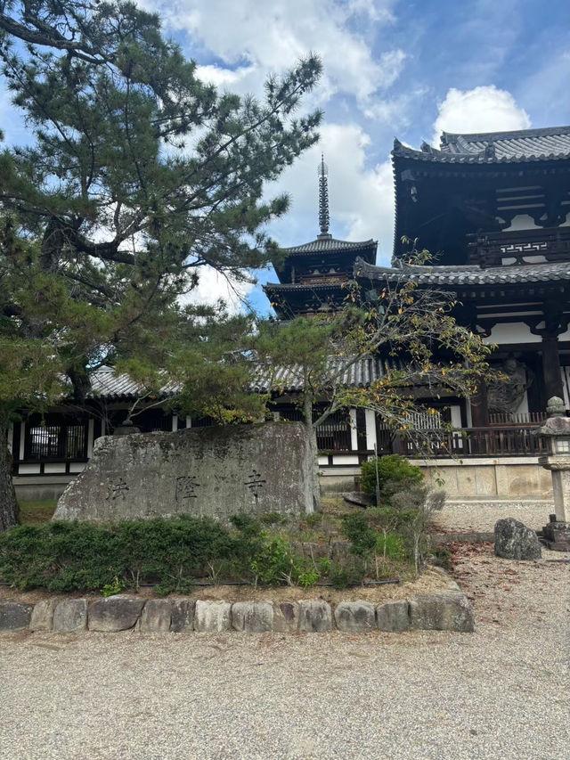 奈良探險記（上）：從世界最古老的木造建築到可愛的鹿群