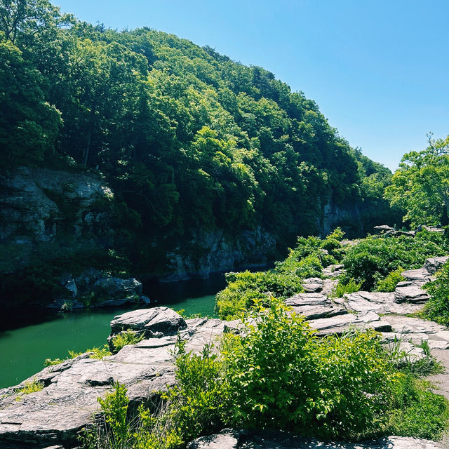 圧巻の大自然！長瀞岩畳で癒しのひととき🌿⛰