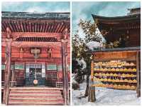 【岐阜】子宝安産祈願のパワースポット⛩️