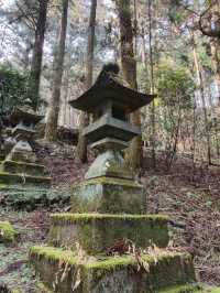 幽靜樹林裡簡樸的上色見熊野座神社