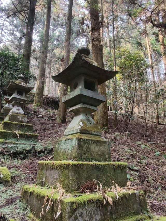 幽靜樹林裡簡樸的上色見熊野座神社