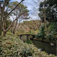 Rikugien Garden (六義園)