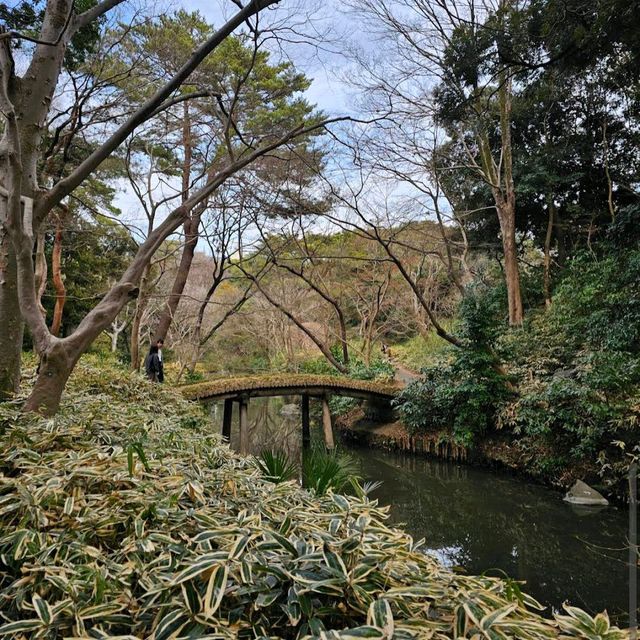 Rikugien Garden (六義園)