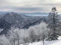 Naeba Ski Resort