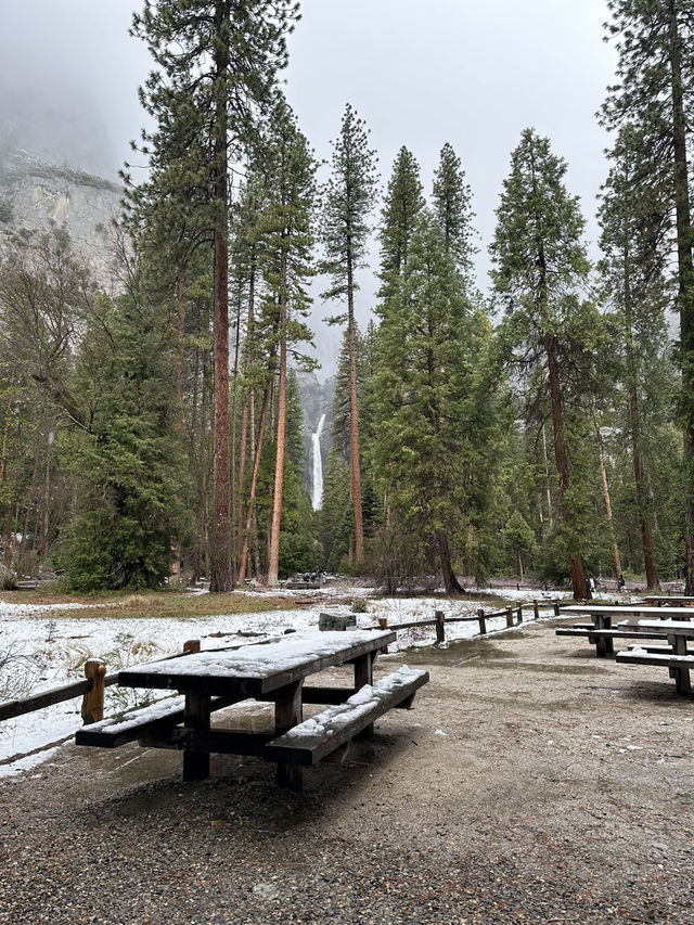 Yosemite National Park 