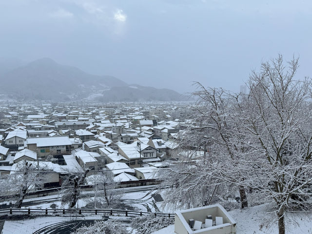 Winter Serenity at Matsushiro Castle