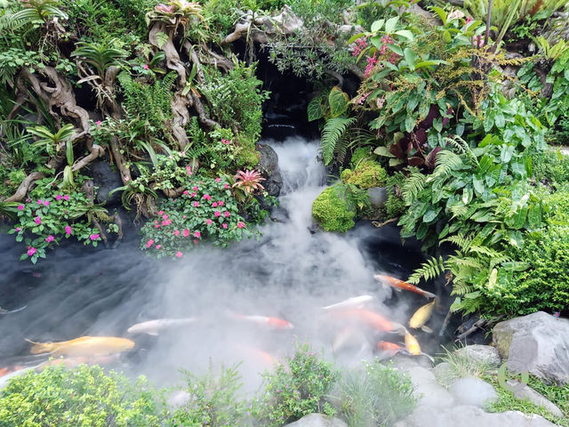 The lush landscapes and stunning rice terraces