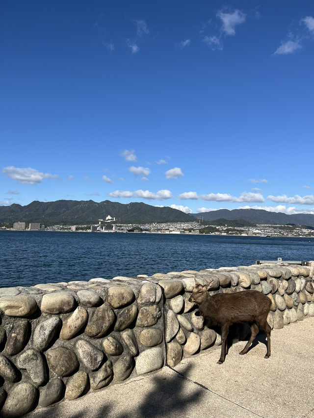 日本三景之一：嚴島神社