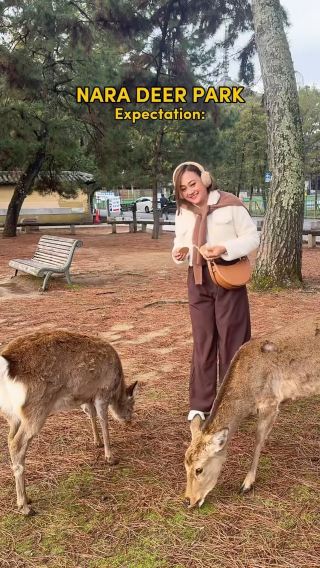 THINGS YOU NEED TO KNOW BEFORE VISITING NARA PARK 🦌