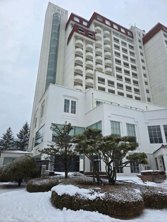 이국적 감성 프렌치가든의 설경이 아름다운곳💜