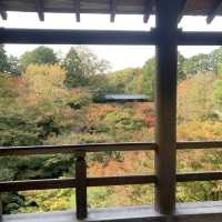 秋に紅葉を見に訪れて欲しい絶景スポット『東福寺』