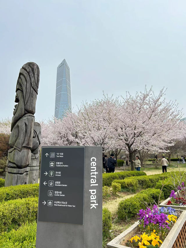 🌉 Songdo Sky Park – A Scenic Escape Above Busan 🌊