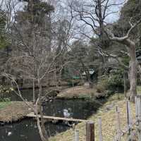 グルメに食べ歩きに参拝、アート体験などなんでもできる深大寺🥳🤍