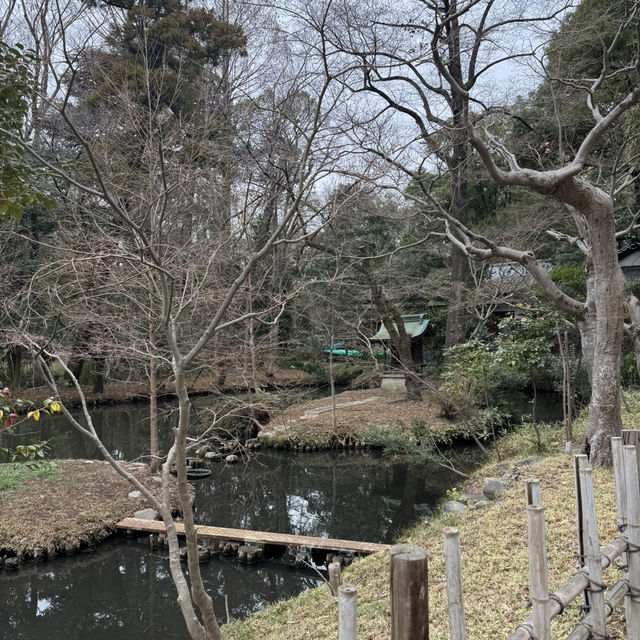 グルメに食べ歩きに参拝、アート体験などなんでもできる深大寺🥳🤍