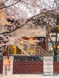 Best Spring Cafés in Seoul🌸 ☕️
