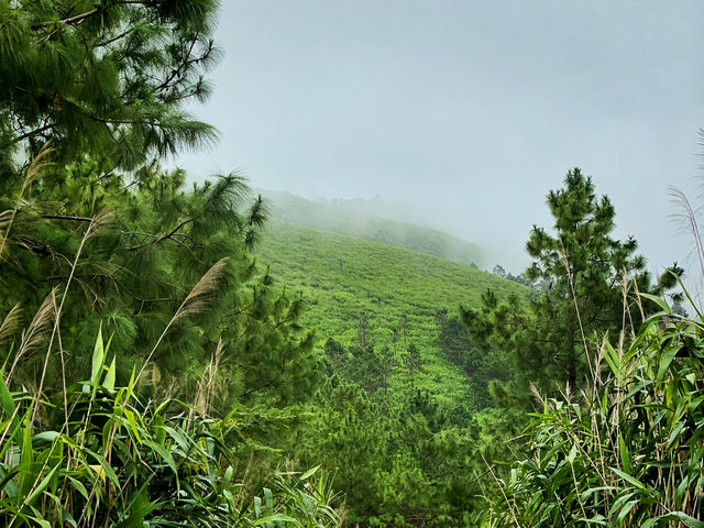 เส้นทางรถไถขึ้นภูสอยดาว 🌳🍃