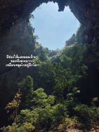 🌳ชวนไปเดินป่าเข้าถ้ำ : ถ้ำพระยานคร 1 day trip 🥾🧳