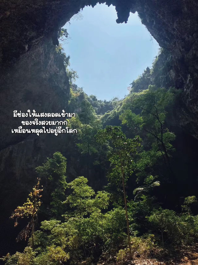 🌳ชวนไปเดินป่าเข้าถ้ำ : ถ้ำพระยานคร 1 day trip 🥾🧳