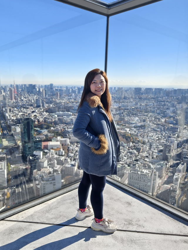 東京高229米的展望台