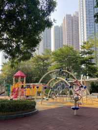 🌸 **香港單車館公園櫻花分享** 🌸