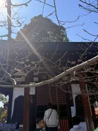 尾道｜纜車從頭頂經過的1200年古寺 中國三十三觀音第十番札所