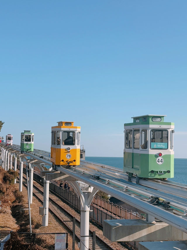 釜山熱門小火車✨