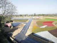 桃園| 秘境湖泊私房景點 溪海埤塘生態公園必來亮點,環湖步道、魚群奇觀、美景一次看夠