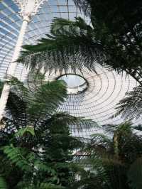 Glasgow Botanic Gardens: A Green Oasis in the City