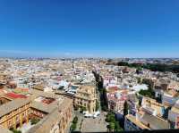 [🇪🇸セビージャ] セビージャ大聖堂のヒラルダの塔登頂体験