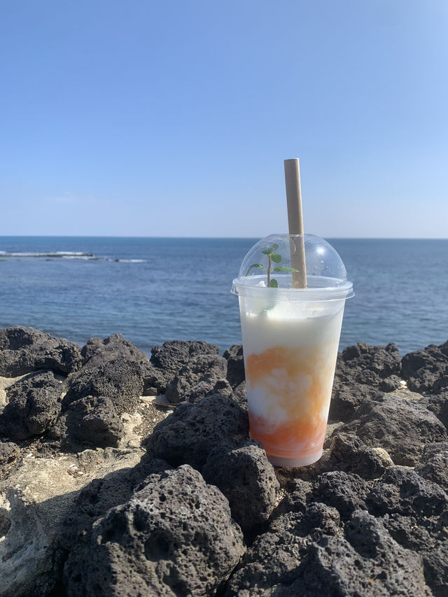 제주도의 맛을 느끼려면 여기! 