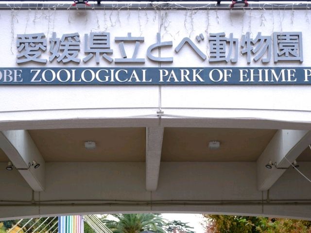 活力 . 愛媛県立とべ動物園
