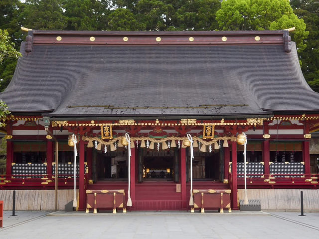 Chasing Sakura at Shiwahiko and Shiogama Shrines