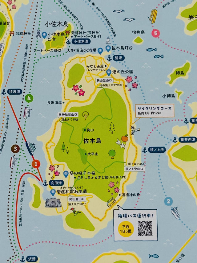【広島、佐木島】千本桜🌸山いっぱいの美しさ