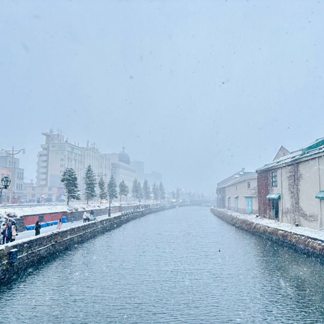 📍北海道小樽｜感受冬雪浪漫❄️｜吃喝玩樂打卡行程攻略📸