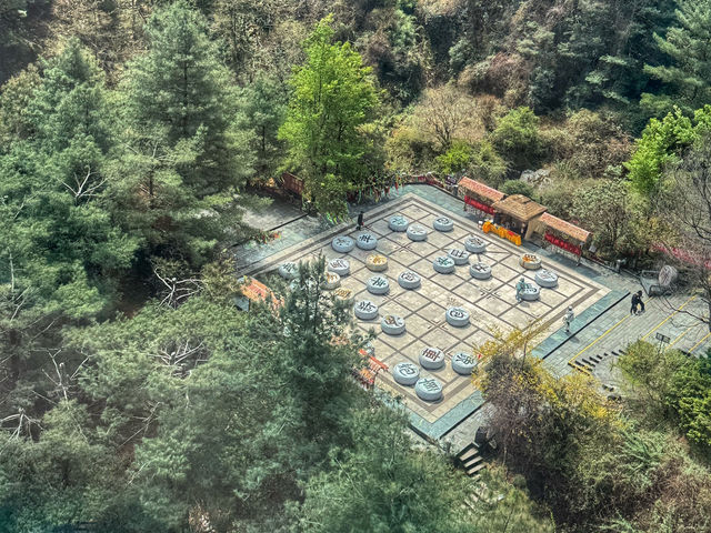 Lost in the Beauty of Yunnan: From Ancient Towns to Snowy Peaks! ❄🏯🌿