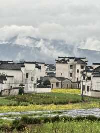 Misty Morning in Lu Village: A Painting Come to Life