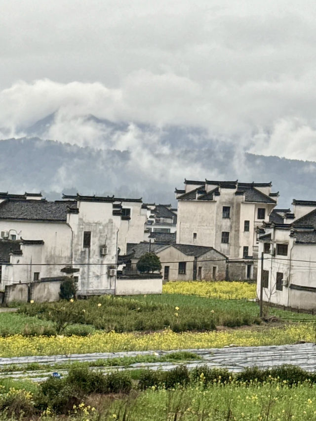 Misty Morning in Lu Village: A Painting Come to Life